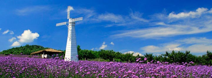 鄉村旅游規劃院:藍調薰衣草莊園旅游規劃鳥瞰圖