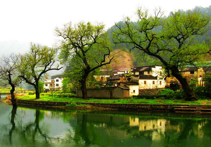 旅游規劃