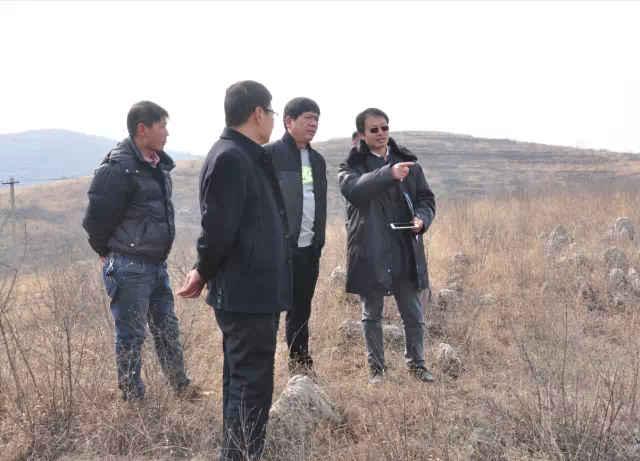 旅游規劃設計院專家組考察萬泉湖(三)