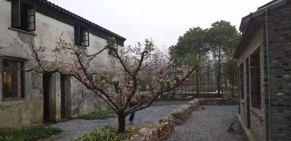 鄉村旅游規劃公司:田園東方建筑旅游規劃主張修舊如舊