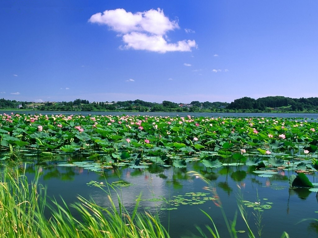 旅游項目開發流程