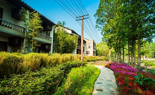 烏村鄉村旅游規劃