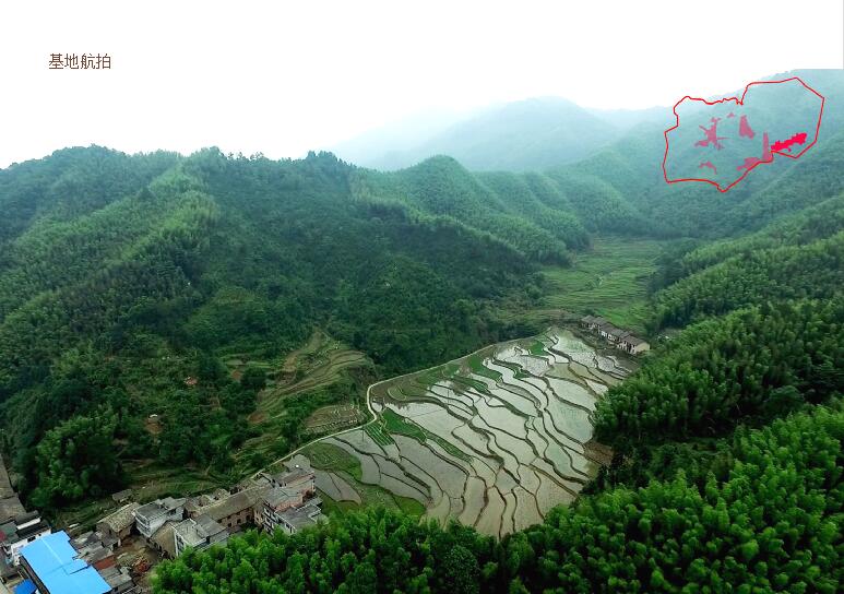 打造中國一流的森林康養度假目的地——明月山森林湯谷康養度假小鎮