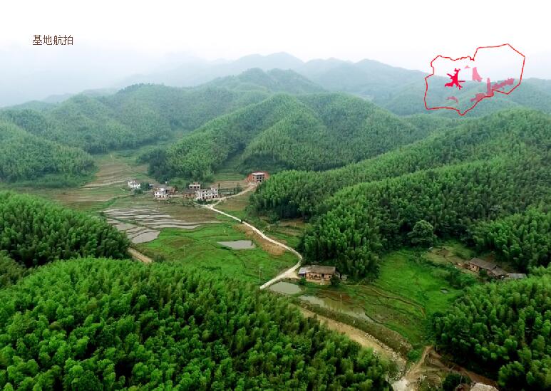 打造中國一流的森林康養度假目的地——明月山森林湯谷康養度假小鎮